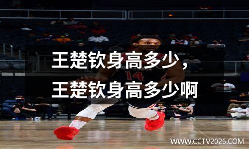 王楚钦身高多少，王楚钦身高多少啊