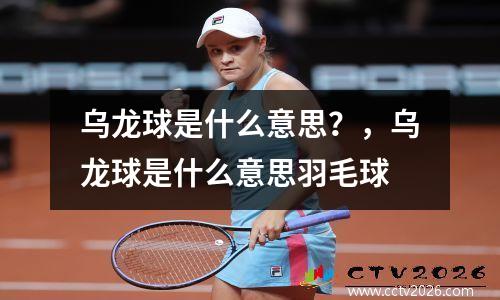 乌龙球是什么意思？，乌龙球是什么意思羽毛球