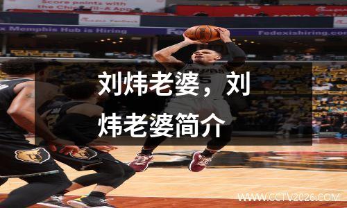 刘炜老婆，刘炜老婆简介