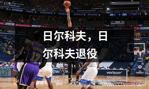 日尔科夫，日尔科夫退役