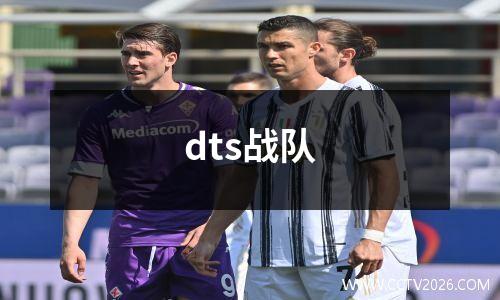 dts战队