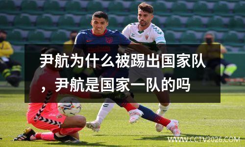 尹航为什么被踢出国家队，尹航是国家一队的吗