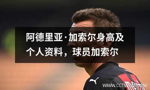 阿德里亚·加索尔身高及个人资料，球员加索尔