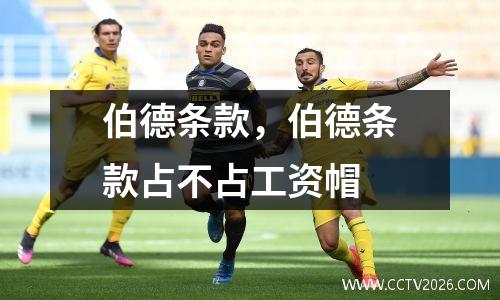 伯德条款，伯德条款占不占工资帽