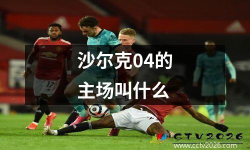 沙尔克04的主场叫什么