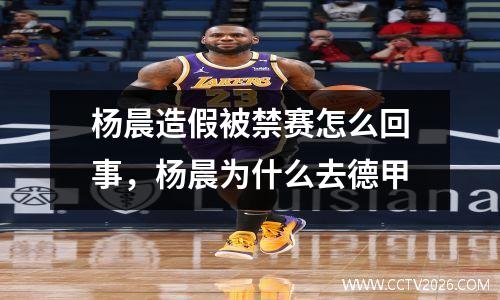 杨晨造假被禁赛怎么回事，杨晨为什么去德甲