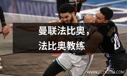 曼联法比奥，法比奥教练
