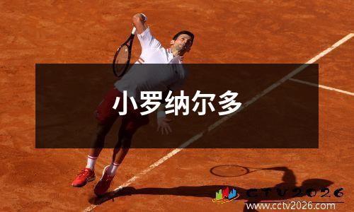 小罗纳尔多