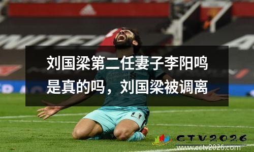 刘国梁第二任妻子李阳鸣是真的吗，刘国梁被调离