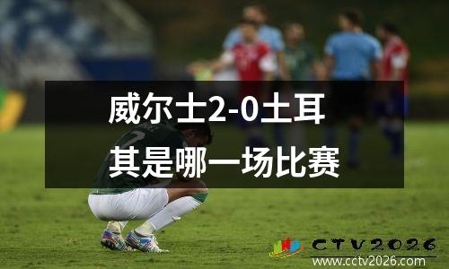 威尔士2-0土耳其是哪一场比赛