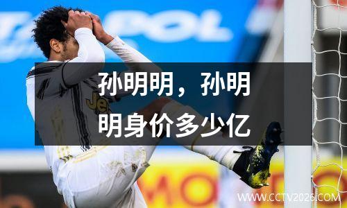 孙明明，孙明明身价多少亿