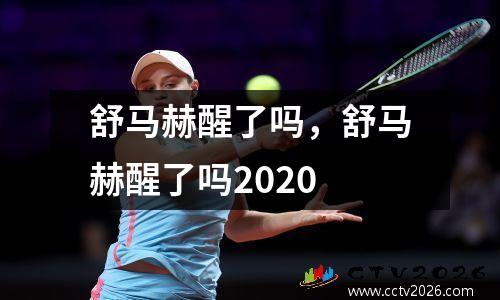 舒马赫醒了吗，舒马赫醒了吗2020