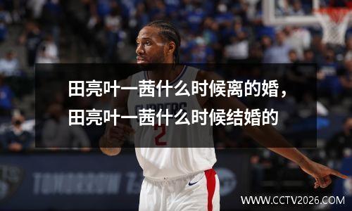 田亮叶一茜什么时候离的婚，田亮叶一茜什么时候结婚的