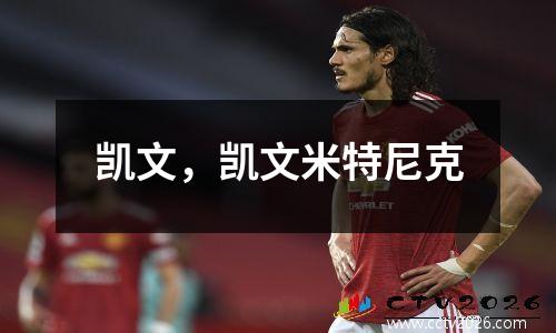 凯文，凯文米特尼克