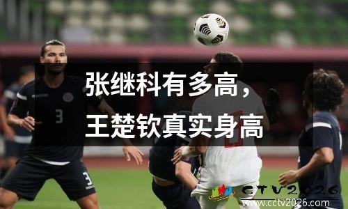 张继科有多高，王楚钦真实身高