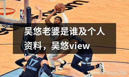 吴悠老婆是谁及个人资料，吴悠view