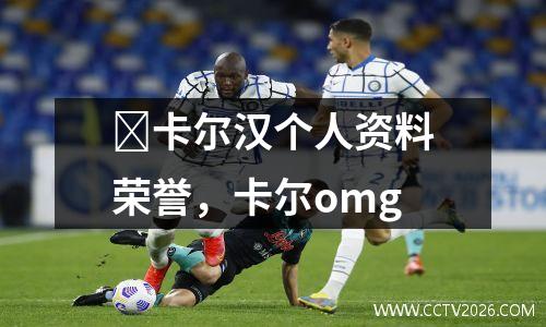 ﻿卡尔汉个人资料荣誉，卡尔omg