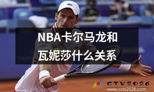 NBA卡尔马龙和瓦妮莎什么关系