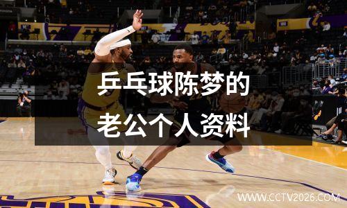乒乓球陈梦的老公个人资料