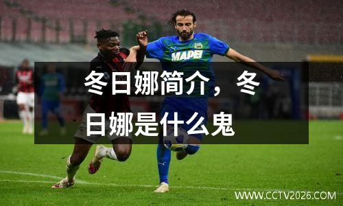 冬日娜简介，冬日娜是什么鬼