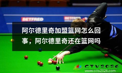 阿尔德里奇加盟篮网怎么回事，阿尔德里奇还在篮网吗
