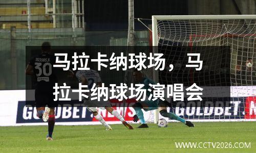 马拉卡纳球场，马拉卡纳球场演唱会