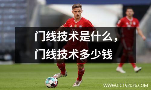 门线技术是什么，门线技术多少钱
