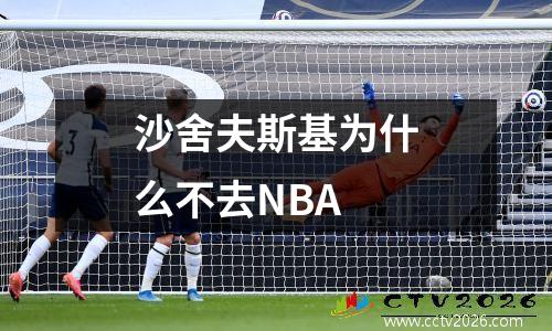 沙舍夫斯基为什么不去NBA