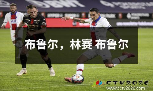 布鲁尔，林赛 布鲁尔