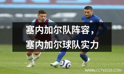 塞内加尔队阵容，塞内加尔球队实力
