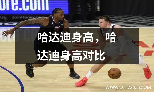 哈达迪身高，哈达迪身高对比