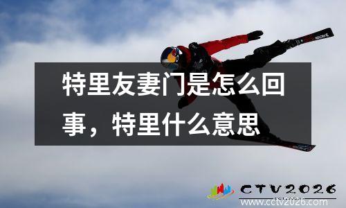特里友妻门是怎么回事，特里什么意思