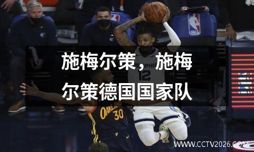 施梅尔策，施梅尔策德国国家队