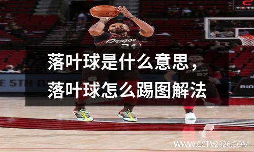 落叶球是什么意思，落叶球怎么踢图解法