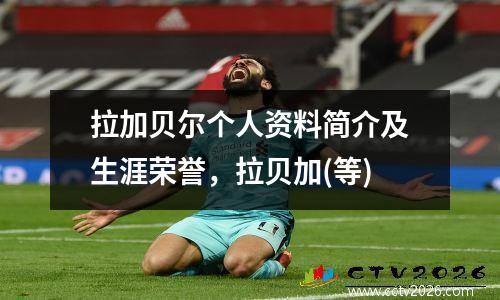 拉加贝尔个人资料简介及生涯荣誉，拉贝加(等)