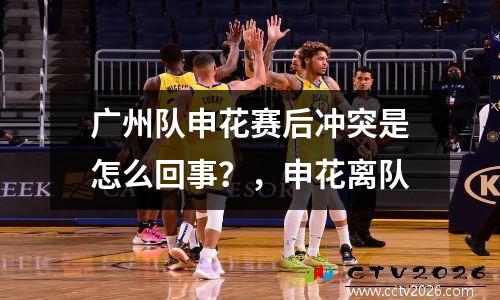 广州队申花赛后冲突是怎么回事？，申花离队