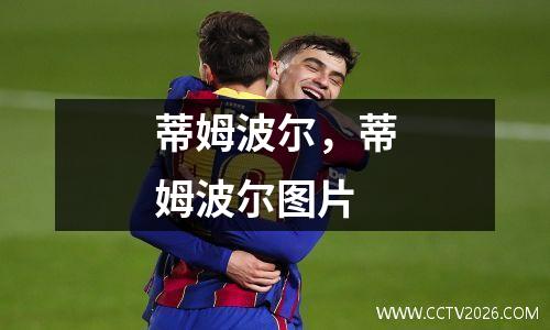 蒂姆波尔，蒂姆波尔图片