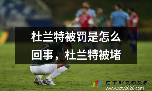 杜兰特被罚是怎么回事，杜兰特被堵