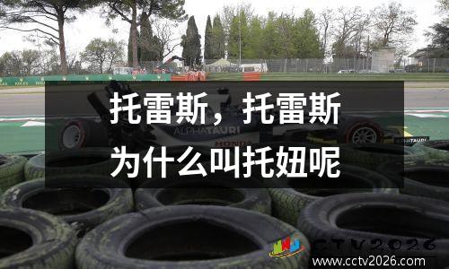 托雷斯，托雷斯为什么叫托妞呢