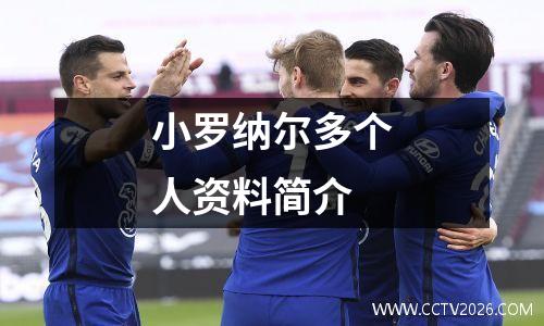 小罗纳尔多个人资料简介