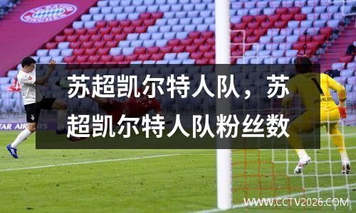 苏超凯尔特人队，苏超凯尔特人队粉丝数