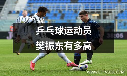 乒乓球运动员樊振东有多高