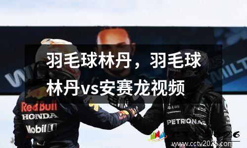 羽毛球林丹，羽毛球林丹vs安赛龙视频