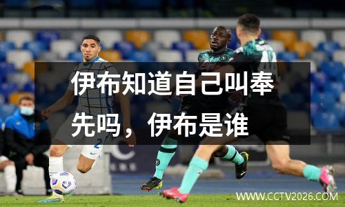 伊布知道自己叫奉先吗，伊布是谁