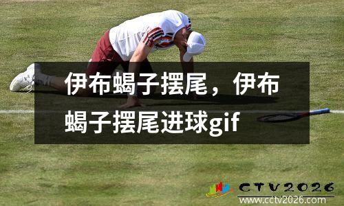 伊布蝎子摆尾，伊布蝎子摆尾进球gif