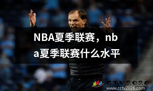 NBA夏季联赛，nba夏季联赛什么水平