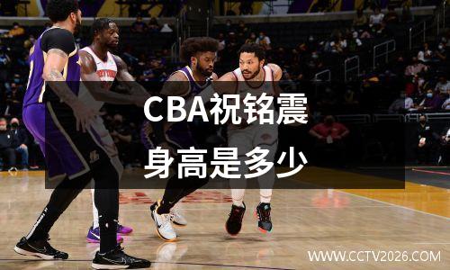 CBA祝铭震身高是多少