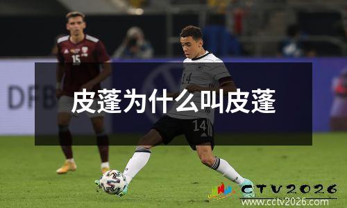 皮蓬为什么叫皮蓬