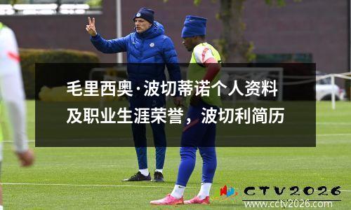 毛里西奥·波切蒂诺个人资料及职业生涯荣誉，波切利简历