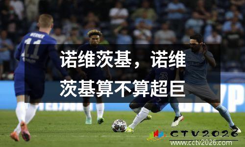 诺维茨基，诺维茨基算不算超巨